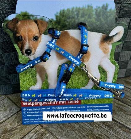 chiot1.jpg
