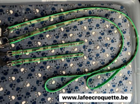 lots-colliers-laisses-1.jpg
