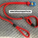 mini4-laisse11.jpg