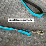 mini4-laisse14.jpg