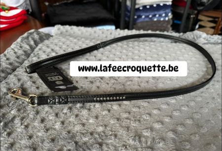 laisse35.jpg