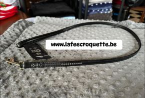laisse35.jpg