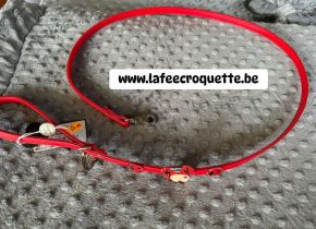 laisse17.jpg