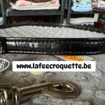 mini4-laisse33.jpg
